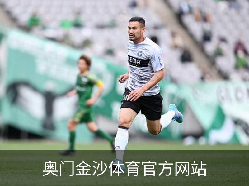 奥门金沙体育官方网站简介